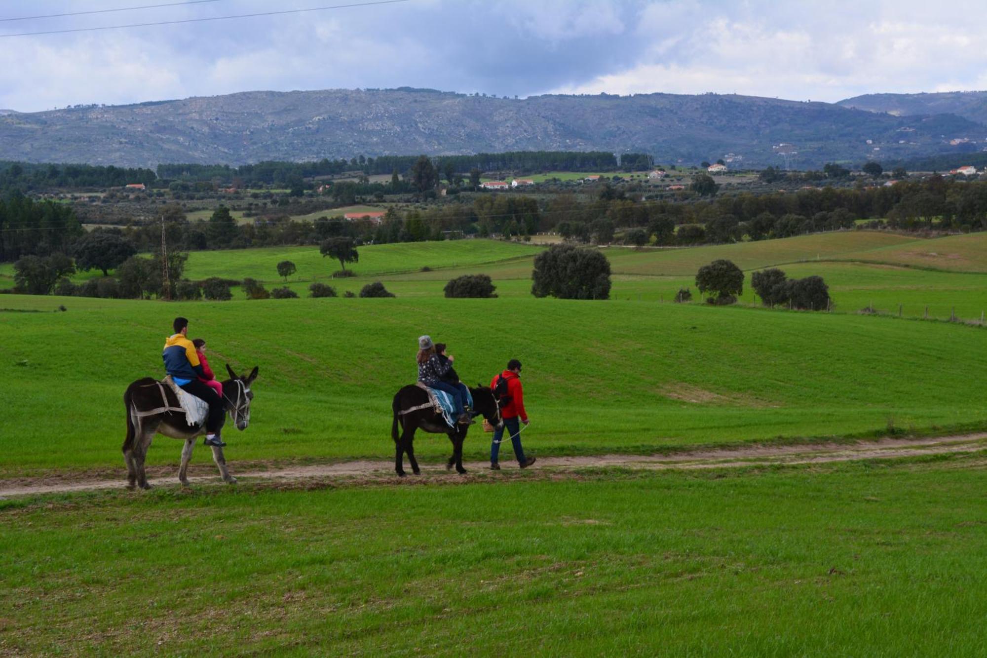 Minhocal Turismo Rural 4Quintas מראה חיצוני תמונה