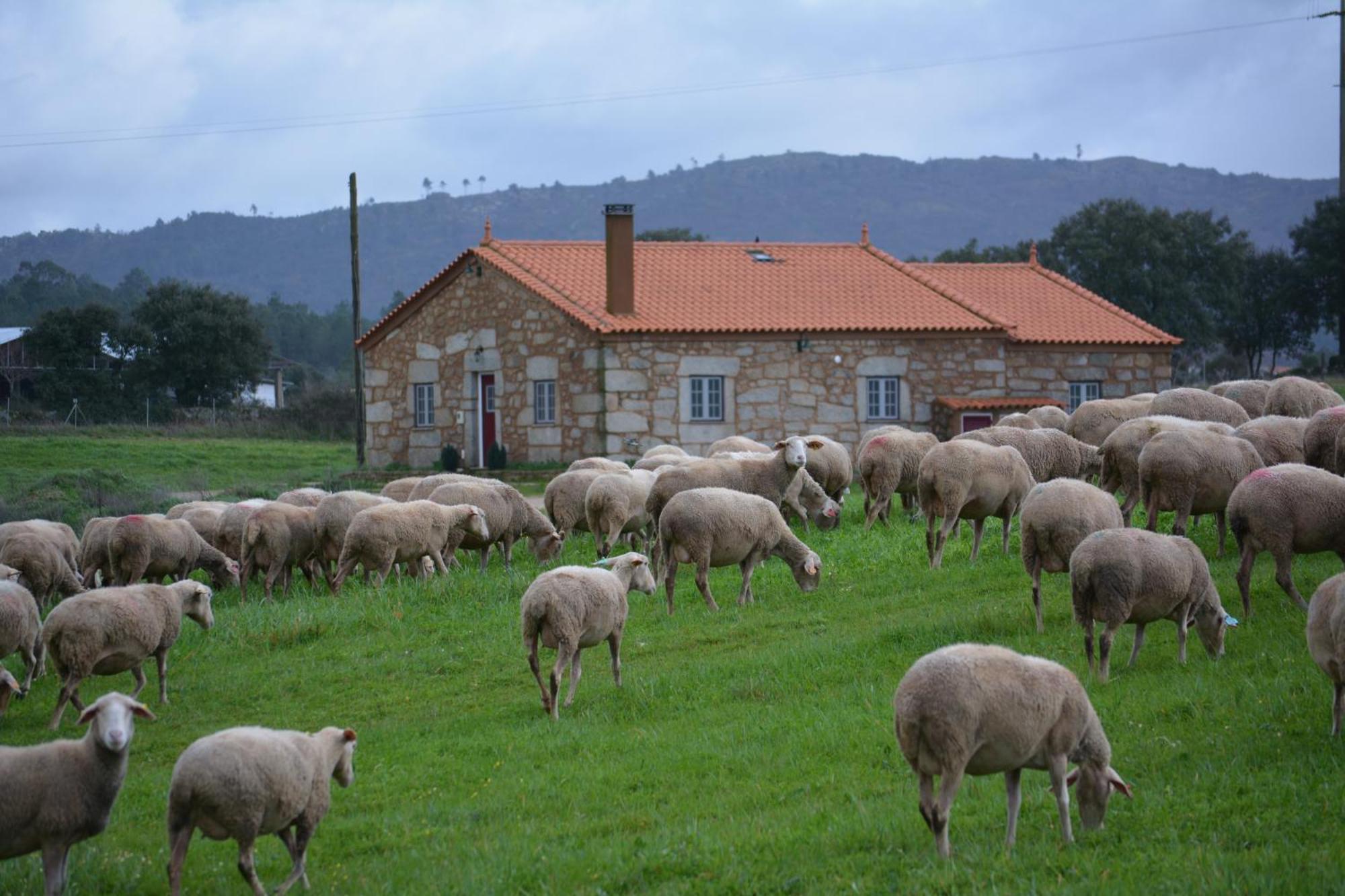 Minhocal Turismo Rural 4Quintas מראה חיצוני תמונה