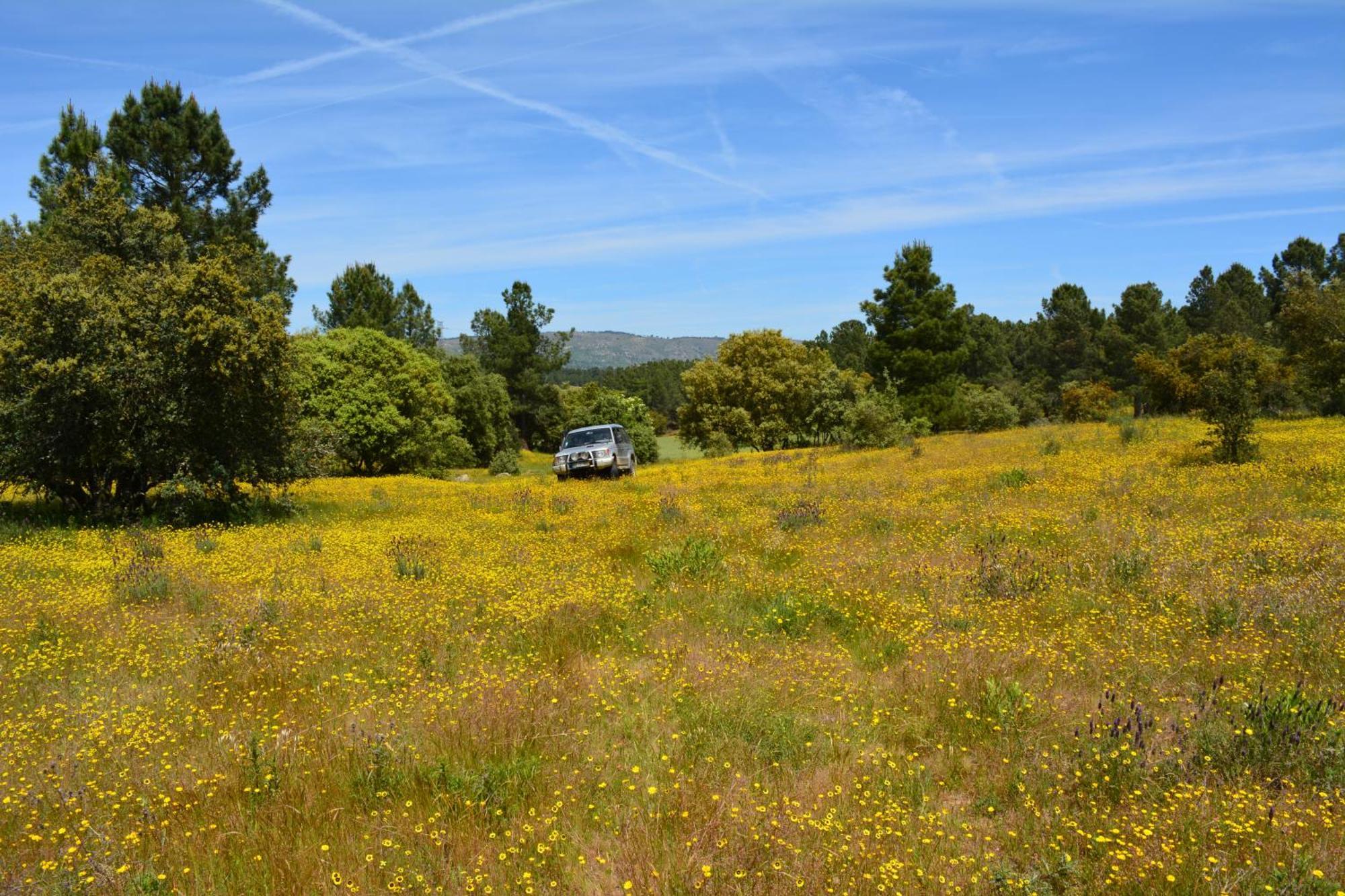 Minhocal Turismo Rural 4Quintas מראה חיצוני תמונה